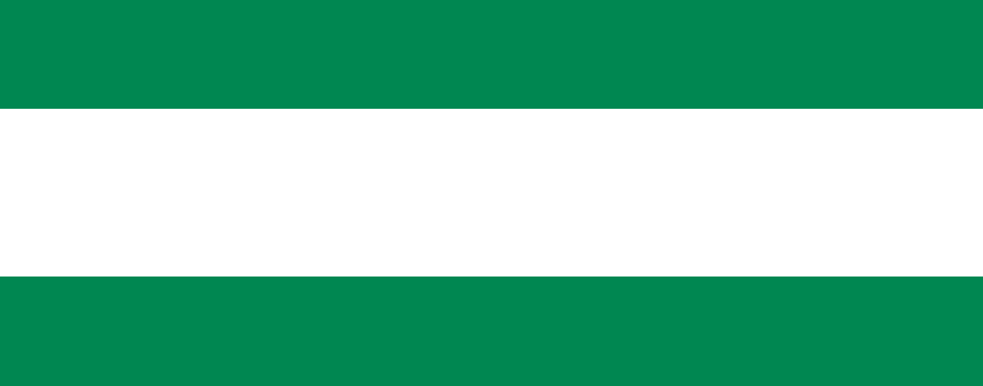 Nigeria Flag